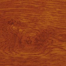 Rovere dorato